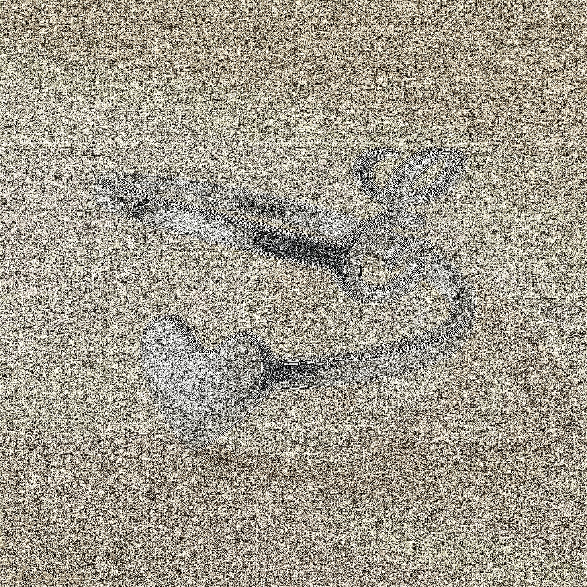 Anello Firma Persona